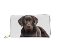 PPTHSNVB Green Frog Portefeuille pour femme Grande capacité Porte-cartes de crédit Fermeture Éclair Pochette de voyage pour femme, chien, Taille unique, Classique