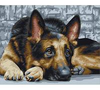 PPTRTYQ Peindre par Nombre pour Adultes - DIY Ensemble Complet Peinture à l'huile Kit avec Brosses et Peintures Acryliques - Chien Animal Berger Allemand 16x20 sans Cadre