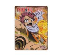 PPZEBDYB Fairy Tail Anime PosterWall Decor Art Metal Tin Poster Modern Bar Decorations40x30cm