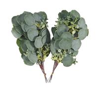 Pqahffowr 20 PièCes Artificielles Argent Dollar Tiges Soie Eucalyptus Feuilles Faux Eucalyptus Branches Brins