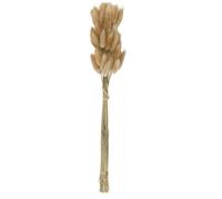 Pqahffowr 50Pcs Naturelles Couleurs Crues Fleurs SéChéEs VéRitable Bouquet de Fleurs pour DéCoration de Mariage Queue de Lapin Herbe Grappes
