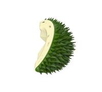 Pqahffowr Jouet pour en Forme de Chatouilleur d'angle pour, Jouet Auto-Salut à la Menthe, Épilateur de Poils, pour Animaux de Compagnie, Vert, Installation Facile