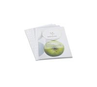 Pqt de 100 Pochettes Transparentes Perforées A4