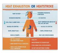 PQYSMVVG Avoid Heat Stroke Poster Heat Illness Symptoms First Aid Home Decor Print(Unframed,16x24inch(40x60cm))