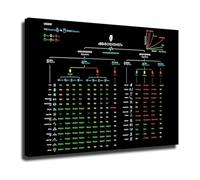 PQYSMVVG Computer Science Wall-Art - Algorithm Complexity Chart on Canvas - Programming Reference Poster for Office and Coding Studio(Framed,12x18inch(30x45cm))