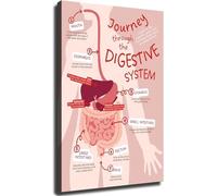 PQYSMVVG Educational Wall-Art Canvas Prints The Human Digestive System Anatomy Chart Poster for Room Aesthetics Classroom Home Office Decor(Unframed,16x24inch(40x60cm))