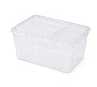 pr Reptiles en Traparent, Très Grand 31.5x21.5x15 cm | Séparation terre eau, Cage pr escargots, Reproduction phasmes, Pr amateurs d'iectes