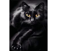 Pracht Creatives Hobby Diamond Painting Set, Tableau avec Motif Chat Noir et Accessoires, Set de Bricolage pour Peindre avec des Petites Pierres Scintillantes pour Les Enfants à partir de 5 Ans