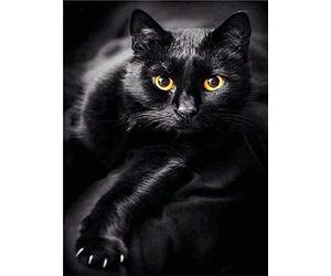 Pracht Creatives Hobby Diamond Painting Set, Tableau avec Motif Chat Noir et Accessoires, Set de Bricolage pour Peindre avec des Petites Pierres Scintillantes pour Les Enfants à partir de 5 Ans