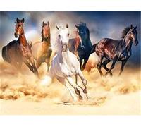 Pracht Creatives Hobby Diamond Painting Set, Tableau avec Motif Chevaux au Galop et Accessoires, Set de Bricolage pour Peindre avec des Pierres Scintillantes pour Les Enfants à partir de 5 Ans
