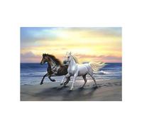 Pracht Creatives Hobby Diamond Painting Set, Tableau avec Motif Chevaux sur la Plage et Accessoires, Set de Bricolage pour Peindre avec des Pierres Scintillantes, pour Enfants à partir de 5 Ans