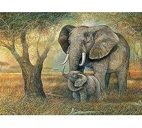Pracht Creatives Hobby Diamond Painting Set, tableau avec motif éléphant et accessoires, taille env. 35 x 25 cm, kit de bricolage pour peindre avec des pierres scintillantes pour les enfants