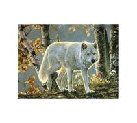 Pracht Creatives Hobby Diamond Painting Set, Tableau avec Motif Loup Blanc et Accessoires, Set de Bricolage pour Peindre avec des Pierres Scintillantes, pour Enfants à partir de 5 Ans