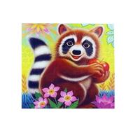 Pracht Creatives Hobby Diamond Painting Set, Tableau avec Motif Raton Laveur et Accessoires, kit de Bricolage pour Peindre avec des Pierres Scintillantes, pour Enfants à partir de 5 Ans