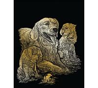 Pracht Creatives Hobby Royal & Langnickel - Image à gratter Golden Retriever, Or, Images à gratter pour Enfants et Adultes, avec Stylo à gratter et modèle