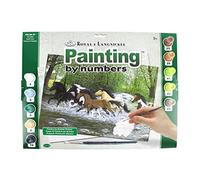 Pracht Creatives Hobby Royal & Langnickel - Peinture par numéros Chevaux au galop, contient des couleurs et des pinceaux, pour adultes et enfants à partir de 8 ans