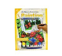 Pracht Creatives Hobby Royal & Langnickel - Peinture par numéros Papillons, contient des couleurs et des pinceaux, pour adultes et enfants à partir de 8 ans