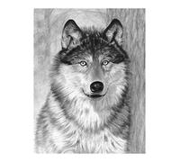 Pracht Creatives Hobby Royal & Langnickel - Sketching - Esquisse Facile pour Les Enfants à partir de 8 Ans, Le Tableau avec Un Motif de Loup Offre Une Introduction idéale au Dessin expressif