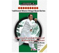 Practical Combat skill of Mixture Styles Boxing