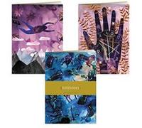 Practical Magic Notebooks: Set of 3 Blank Notebooks - [Version Originale] Inconnu (Auteur)