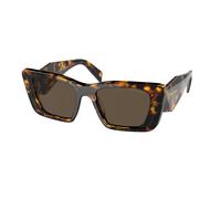 Prada Femme Prada PR 08YS 01V8C1 Lunettes de soleil Acétate Tortue Marron Papillon Normale