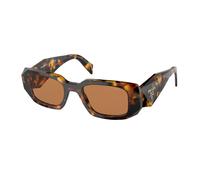 Prada Femme Prada PR 17WS VAU2Z1 Lunettes de soleil Acétate Tortue Marron Carré Normale