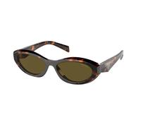 Prada Femme Prada PR 26ZS 14L09Z Lunettes de soleil Acétate Vert Marron Géométrique Normale