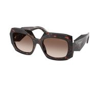 Prada Femme Prada PR B23S 17N10S Lunettes de soleil Acétate Tortue Marron Carré Normale Ombré