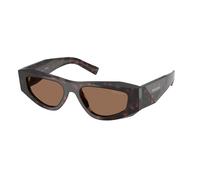 Prada Homme Prada PR B19S 17N06B Lunettes de soleil Acétate Tortue Marron Pillow Normale