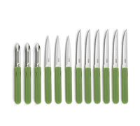 Pradel Essentiel - Set 12 couteaux de cuisine : steak, office et éplucheur - Energy - Acier inoxydable 13/0, Finition Brillante - Vert