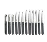 Pradel Essentiel - Set 12 couteaux de cuisine : steak, office et éplucheur - Energy - Acier inoxydable 13/0, Finition Brillante - Gris