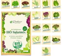 Prademir Graines De Salade Bio 16 Variétés De Graines Résistantes Aux Semences Anciennes Graines De Salade Set Bio