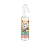 Prady - Désodorisant Dragon Oriental en Spray pour la Maison - 220 ml - Voyagez en Orient.