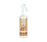 Prady - Désodorisant Home Spray Salt & Caramel - 220 ml - Douceur Salée pour Votre Maison.