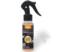 Prady - Désodorisant Voiture Spray Mangue - 100 ML - Parfum Fruité et Tropical - Diffusion Longue Durée pour l’Intérieur du Véhicule