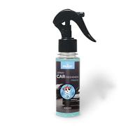 Prady - Désodorisant Voiture Spray Pirate - 100 ml - Parfum Masculin Intense et Élégant - Diffusion Longue Durée pour Véhicules