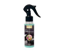 Prady - Désodorisant Voiture Spray Ritual de Spa - 100 ml - Parfum Relaxant et Élégant - Diffusion Longue Durée pour Véhicules