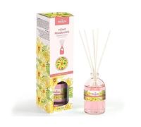 Prady - Mikado Désodorisant Ylang-Ylang - 100 ML - Parfum floral exotique pour une ambiance raffinée.