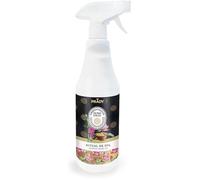 Prady - Spray d'Ambiance Maison Rituel de Spa - 700 ML - Parfum relaxant et raffiné pour une atmosphère de bien-être et de détente.