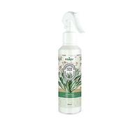 Prady - Spray Désodorisant Citronnelle - 220 ML - Parfum frais et citronné pour une ambiance revitalisante.
