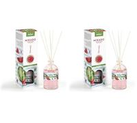 PRADYR - Mikado Parfum d'Ambiance Pastèque - Fraîcheur Estivale - 100ml (Lot de 2)