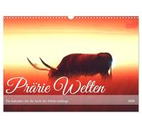 Prärie Welten - Ein Kalender, der die Seele der Prärie einfängt. (Wandkalender 2026 DIN A3 quer), CALVENDO Monatskalender: Prärie Welten: Seele der Wildnis im Kalender.
