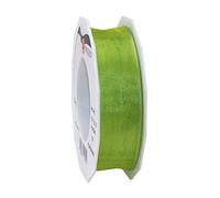 PRÄSENT Four Seasons Ruban en Organza Vert Gazon 25 mm - 25 m, Polyester