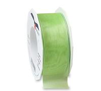 Präsent Four Seasons Sangle pour Bagage 10 cm, Neo Mint (Vert) - 6074025-136