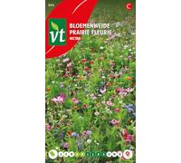Prairie fleurie Nectar Graines - Alimentaire pour les abeilles et les papillons