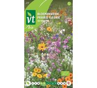 Prairie fleurie Old Fashioned Graines- Env. 4 gr | VT_259