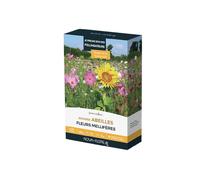 Prairies fleuries : jachère abeilles