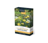 Prairies fleuries : jachère je prend soi