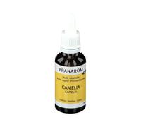 PRANARÔM Camélia Huile 30 ml