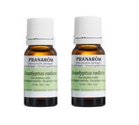 Pranarom - Duo Huile Essentielle d'Eucalyptus radié - Bio - 10 ml